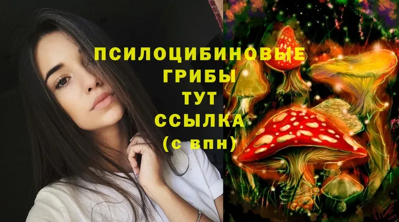 Галлюциногенные грибы Magic Shrooms  Курильск 